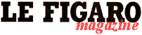 logo figmag